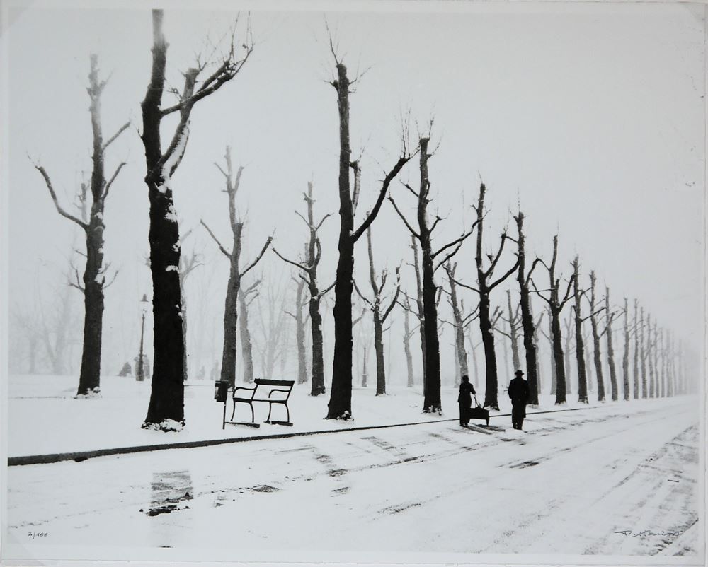 Fine Art Photography