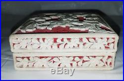 Antique Chinese Cinnabar & White Lacquer Ware Box