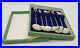 Antique-Rare-Set-Of-6-Chinese-Export-Solid-Silver-950-Spoons-Box-01-qwez