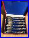 Set-Of-6-Antique-Chinese-Dragon-Silver-Demitasse-Spoons-In-Box-01-bvb